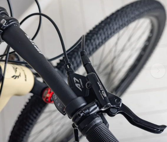 UPTEN ORION ALLOY 20 SPEED BIEK 29'' 