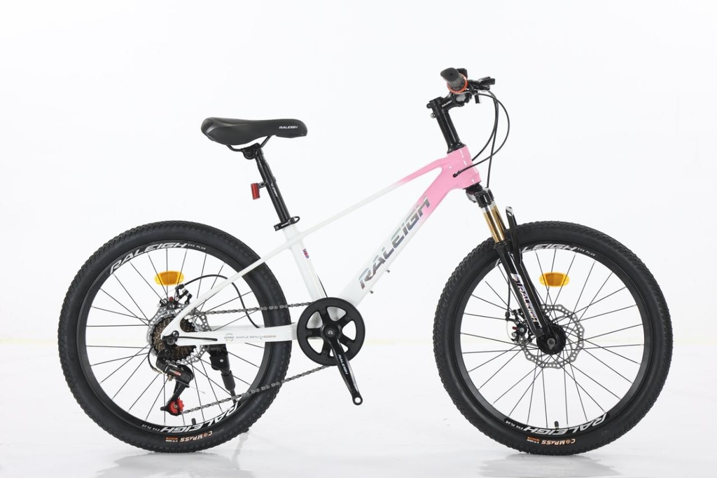 RALEIGH BIKE 22'' MAGNESIUM 7SPD