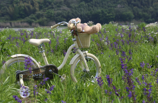 Lanq L16'' Girls Bike Kids Bicycles 