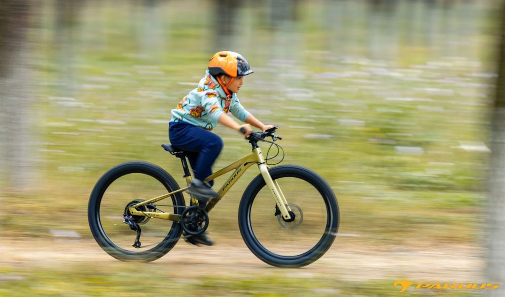 Pardus Mini Naik RS 24'' Mountain Bike
