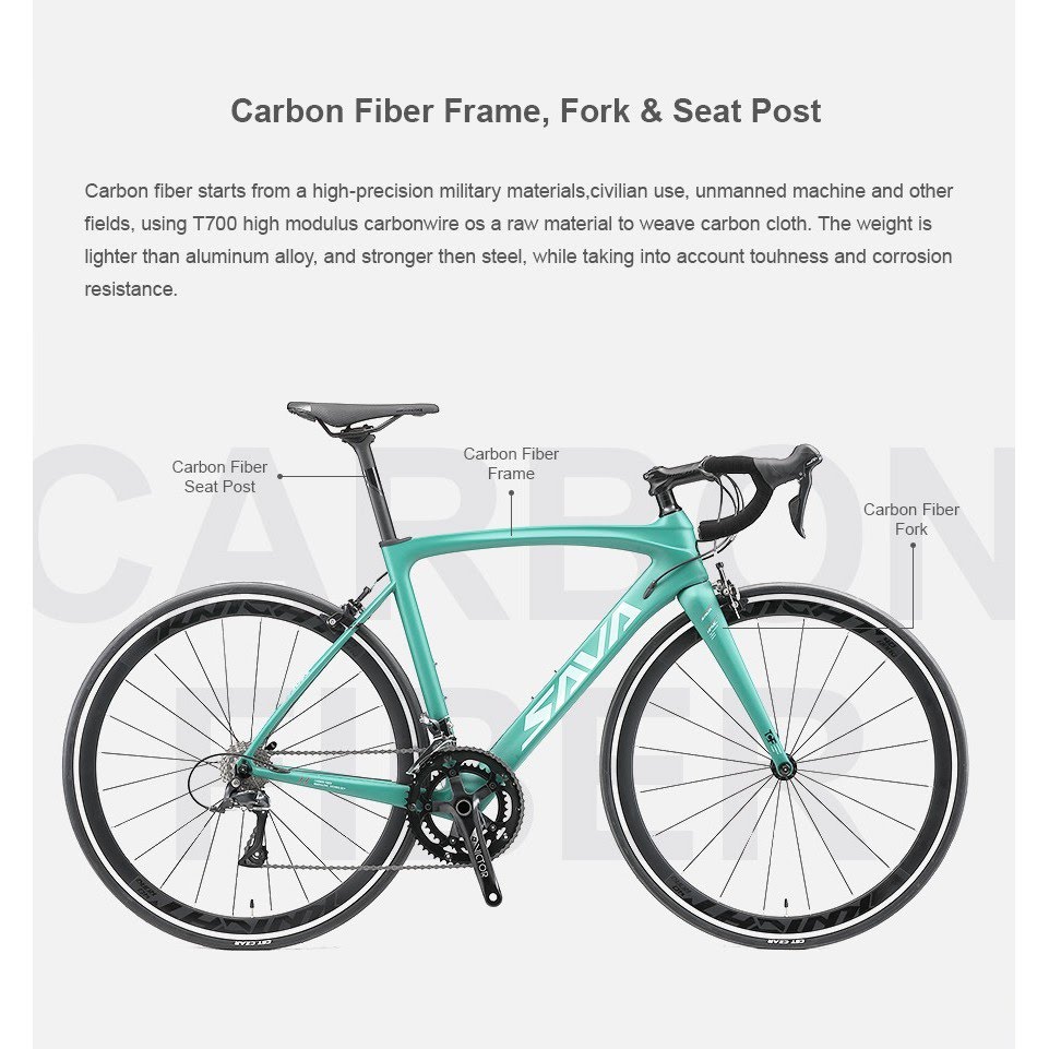 SAVA ROAD BIKE TRIUMPH 3.0