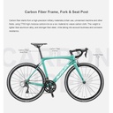 SAVA ROAD BIKE TRIUMPH 3.0