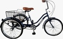 MOGOO HAULER TRICYCLE 24'' 